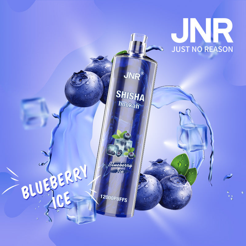 JNR Shisha Hookah 12000 Puffs 24ml 750mAh 16 flavors Disposable vape
