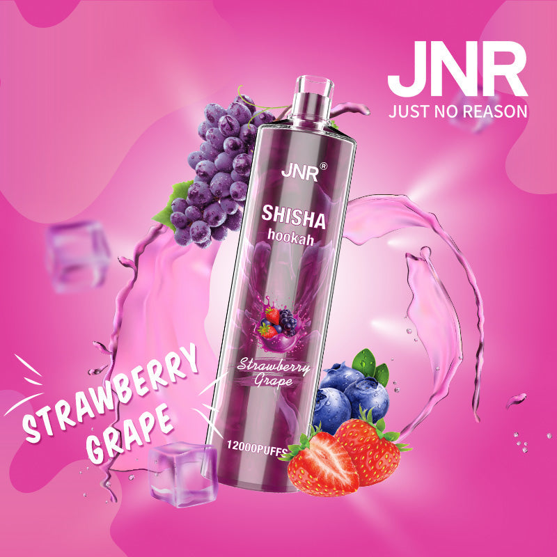 JNR Shisha Hookah 12000 Puffs 24ml 750mAh 16 flavors Disposable vape
