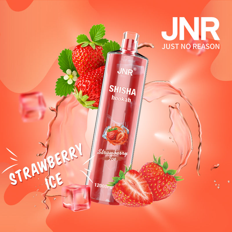 JNR Shisha Hookah 12000 Puffs 24ml 750mAh 16 flavors Disposable vape