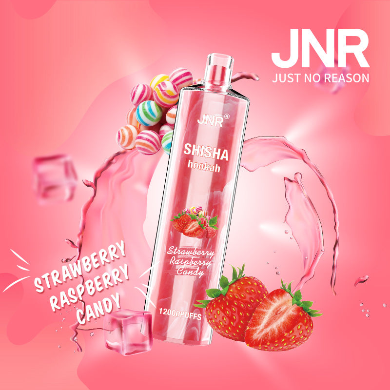 JNR Shisha Hookah 12000 Puffs 24ml 750mAh 16 flavors Disposable vape