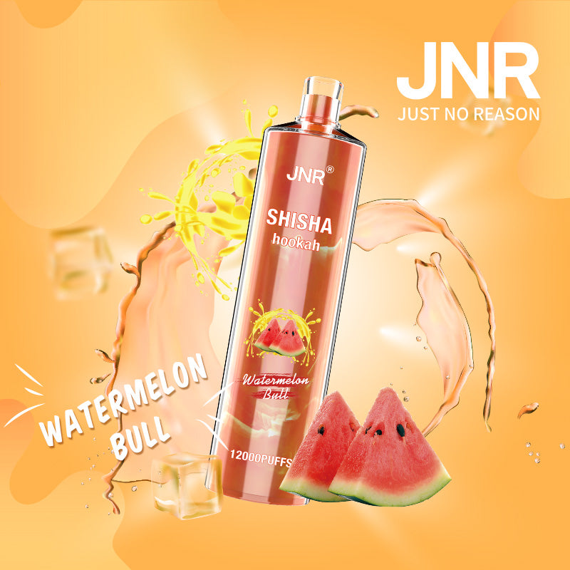 JNR Shisha Hookah 12000 Puffs 24ml 750mAh 16 flavors Disposable vape