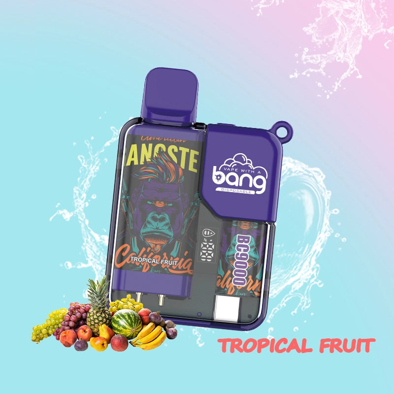 BANG Pyne 9000 Puffs Disposable Vape Wholesale-6ml E-liquid, Multiple Nicotine 12 Flavors