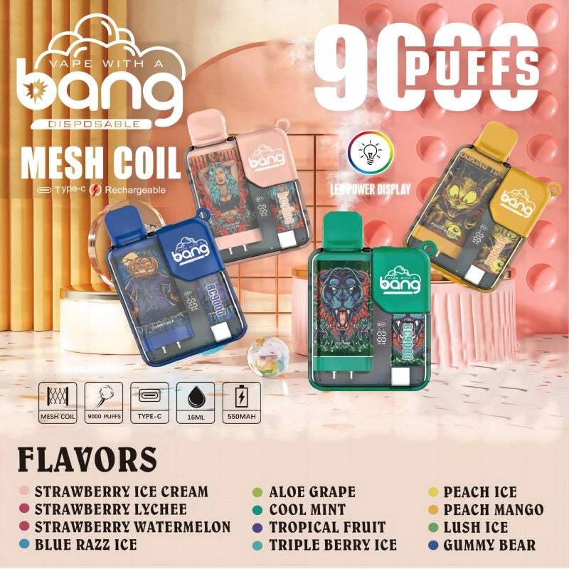 BANG Pyne 9000 Puffs Disposable Vape Wholesale-6ml E-liquid, Multiple Nicotine 12 Flavors
