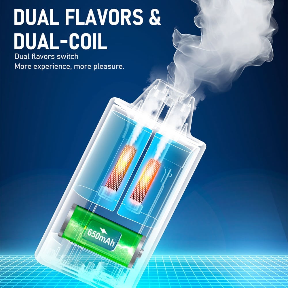 COOL PEACH & BLUEBERRY ICE -FIBIE 15000 Dual Flavors Disposable Vapor Wands(15000 PUFFS)