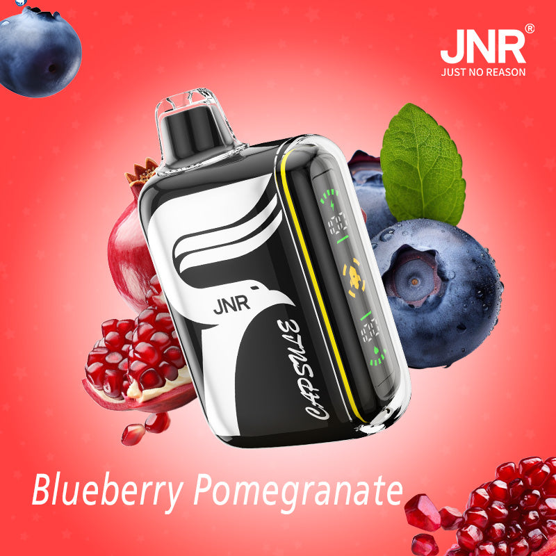 JNR Digital Box Capsule 15000 (Box of 10)850mAh 20ml 20 Flavors