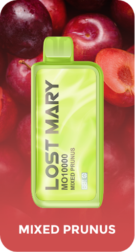 Lost Mary MO10000 Puffs Disposable Vape Wholesale