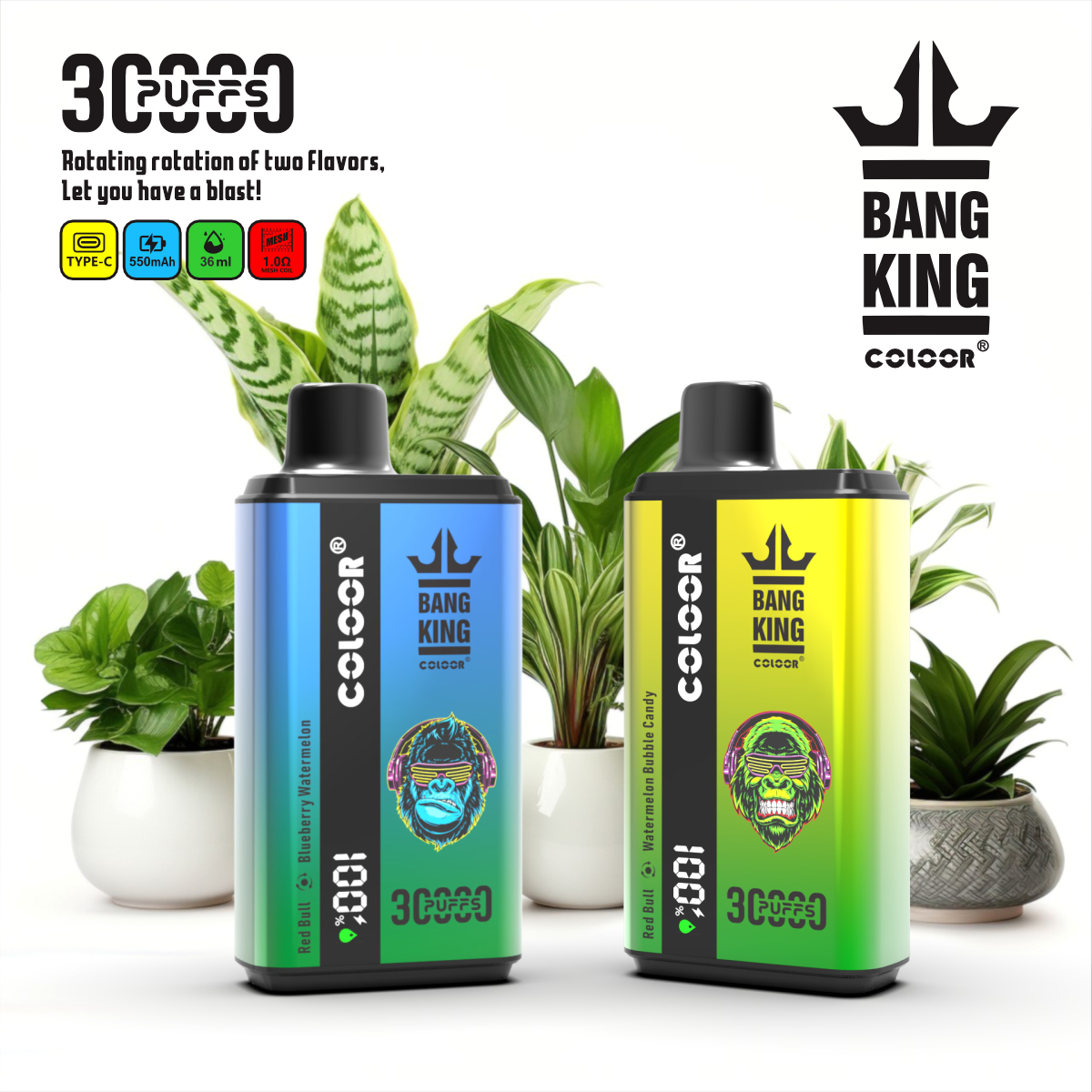 Bang King 30000 Puffs Disposable Vape 12 Flavors-850mAh Battery, 30ml E-liquid, Multiple Nicotine 12 Flavors