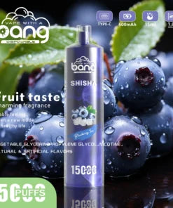 Bang 15000 Puffs Vape 15K Disposable Vape Pen E Cigarette Prefilled 15ml 600mAh Disposable Vape 20 Flavors