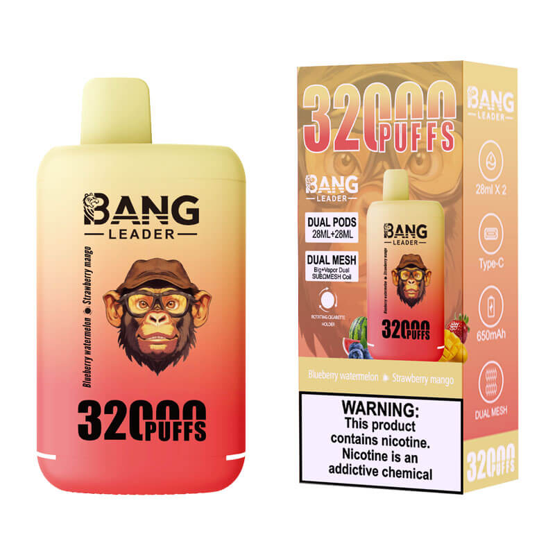 Bang Leader 32000 Puffs Disposable Vape - Dual Pods, 26ml+26ml E-Liquid