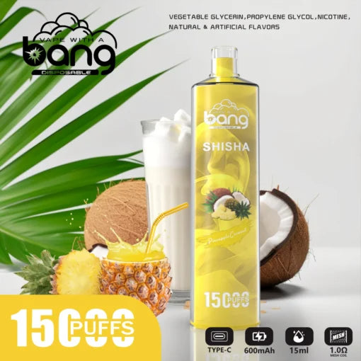 Bang 15000 Puffs Vape 15K Disposable Vape Pen E Cigarette Prefilled 15ml 600mAh Disposable Vape 20 Flavors