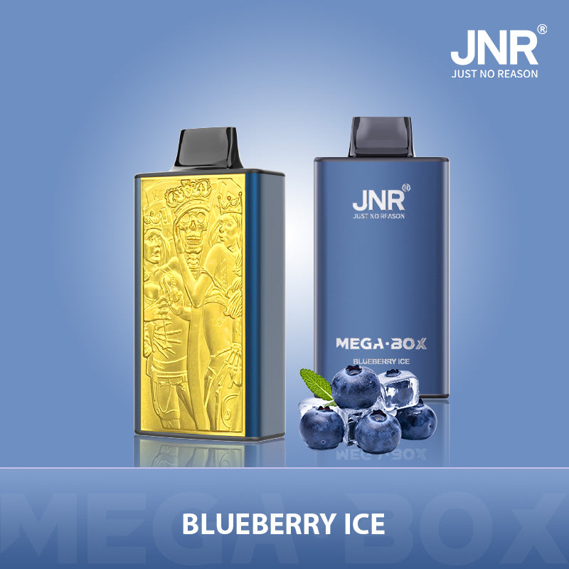 JNR Mega Box 25000 Puffs Disposable Vape (Box of 10) 20 Flavors
