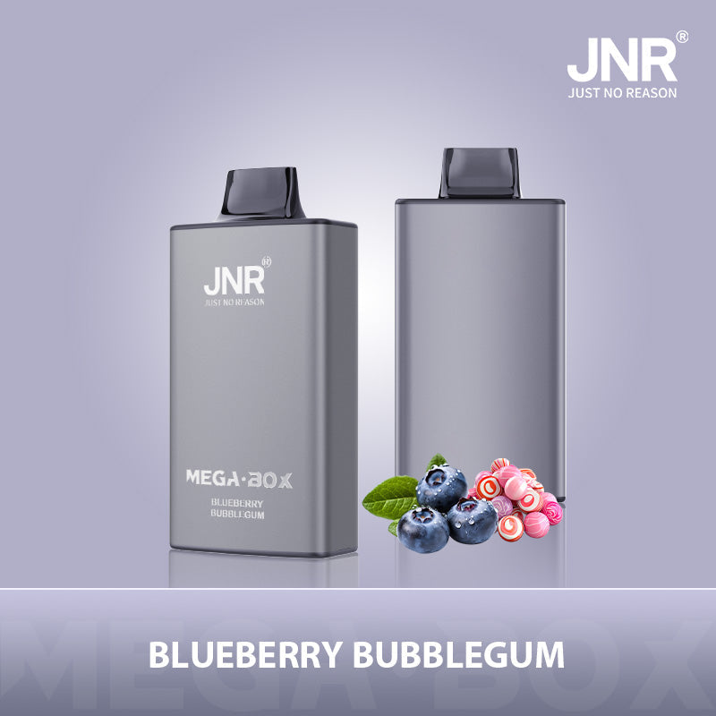 JNR Mega Box 25000 Puffs Disposable Vape (Box of 10) 20 Flavors