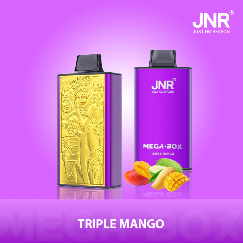 JNR Mega Box 25000 Puffs Disposable Vape (Box of 10) 20 Flavors