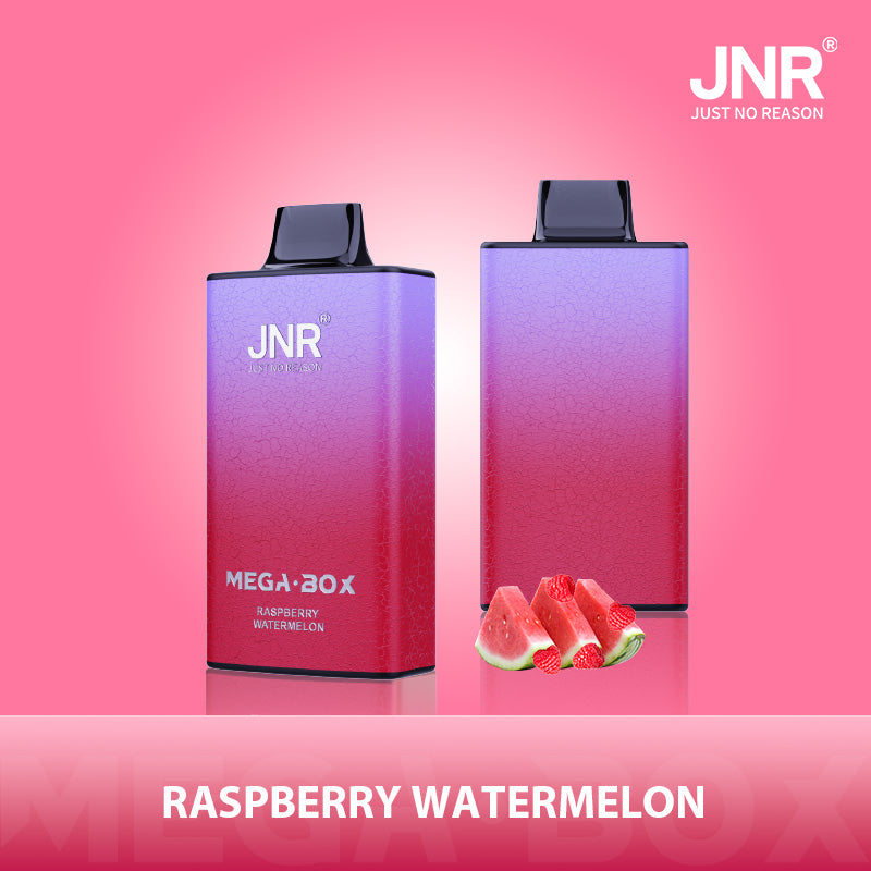 JNR Mega Box 25000 Puffs Disposable Vape (Box of 10) 20 Flavors