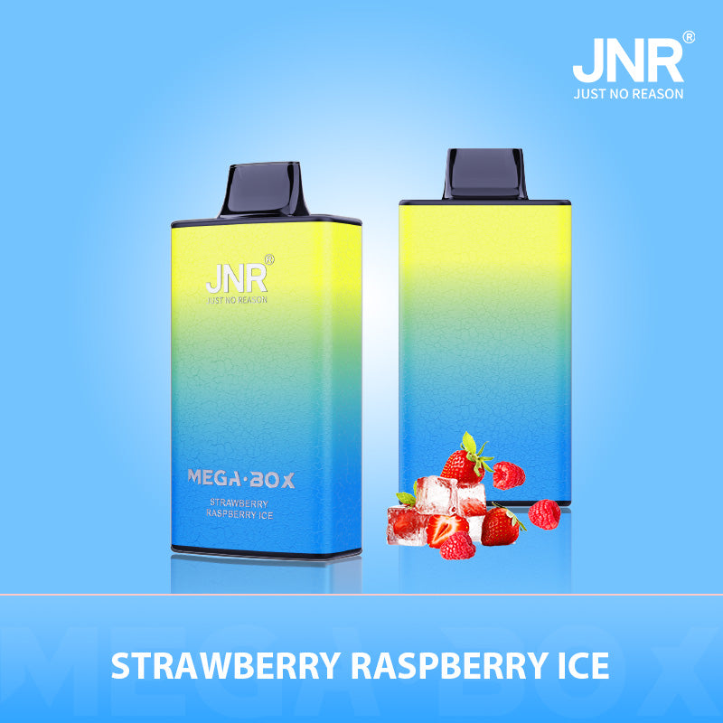 JNR Mega Box 25000 Puffs Disposable Vape (Box of 10) 20 Flavors