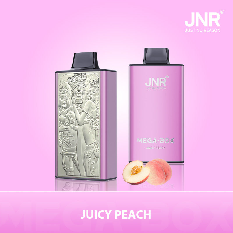 JNR Mega Box 25000 Puffs Disposable Vape (Box of 10) 20 Flavors