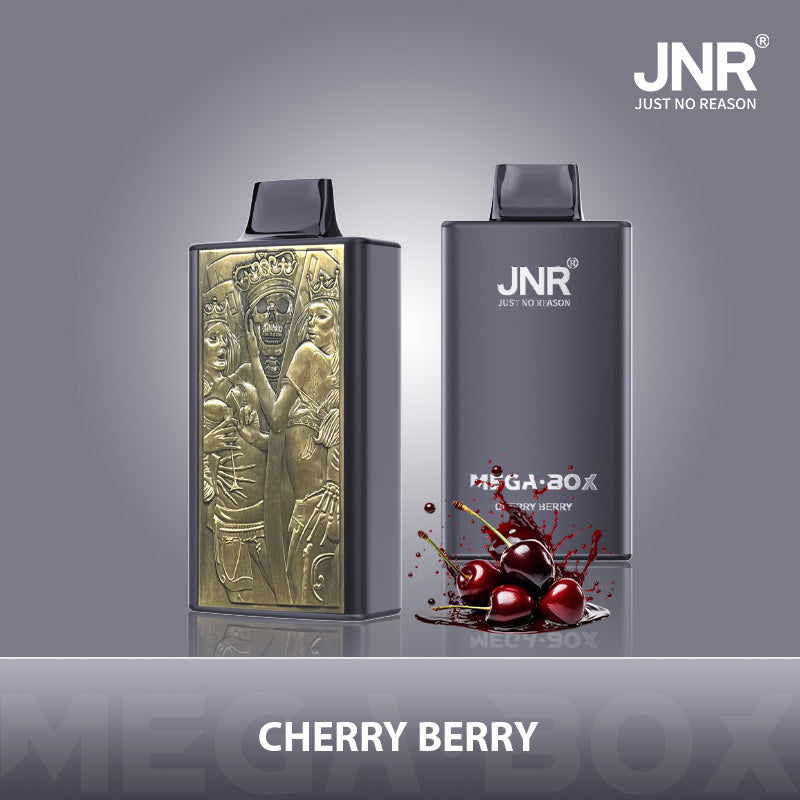 JNR Mega Box 25000 Puffs Disposable Vape (Box of 10) 20 Flavors