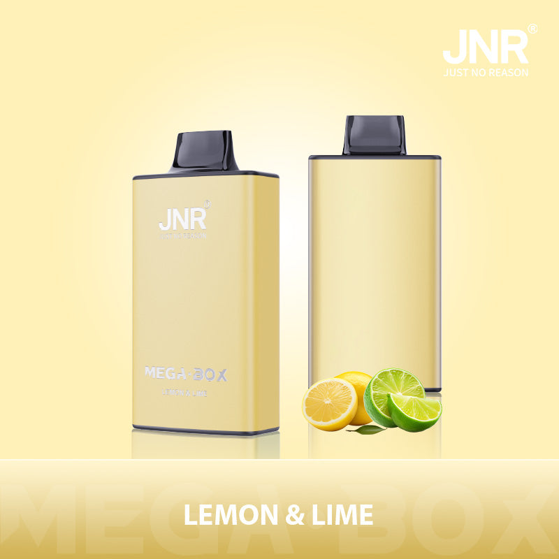JNR Mega Box 25000 Puffs Disposable Vape (Box of 10) 20 Flavors