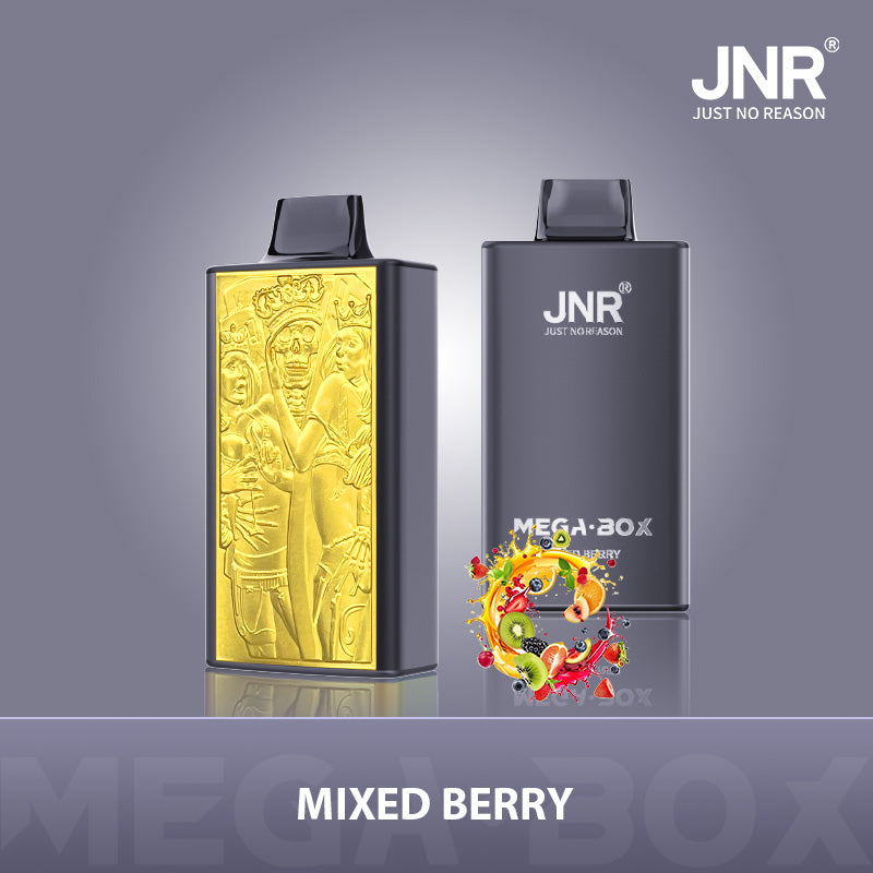 JNR Mega Box 25000 Puffs Disposable Vape (Box of 10) 20 Flavors