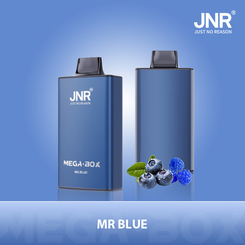 JNR Mega Box 25000 Puffs Disposable Vape (Box of 10) 20 Flavors