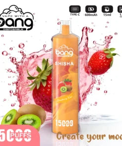 Bang 15000 Puffs Vape 15K Disposable Vape Pen E Cigarette Prefilled 15ml 600mAh Disposable Vape 20 Flavors