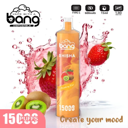 Bang 15000 Puffs Vape 15K Disposable Vape Pen E Cigarette Prefilled 15ml 600mAh Disposable Vape 20 Flavors