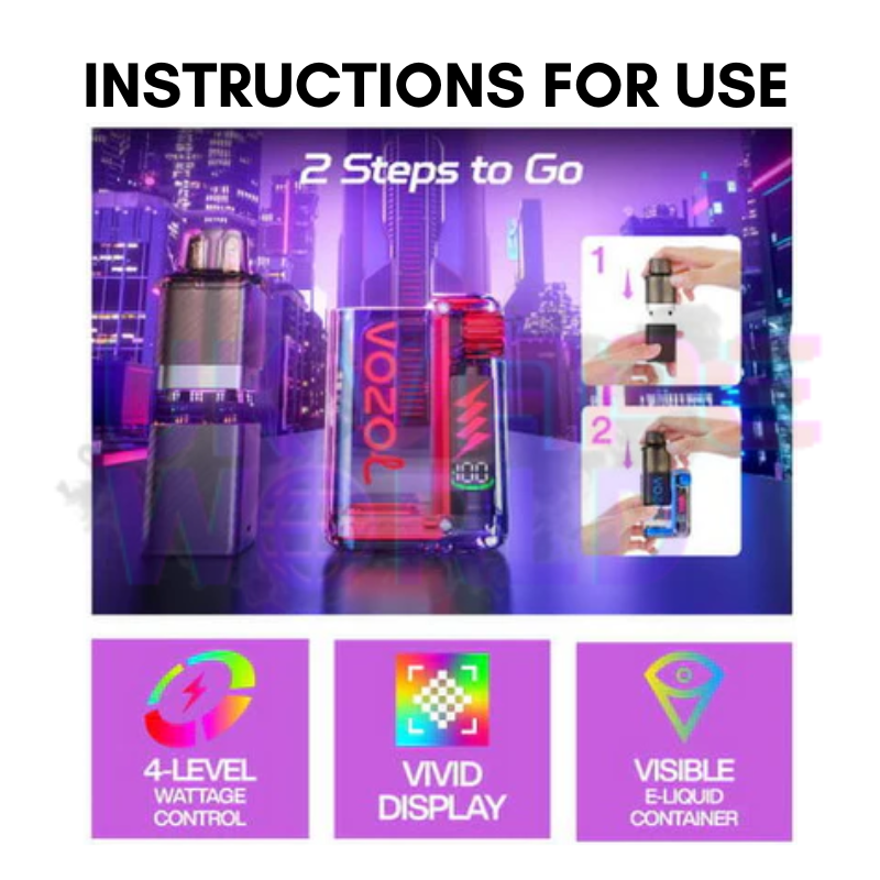 Fresh Mint Vozol 10000 10K Puff Vista Plug Kit