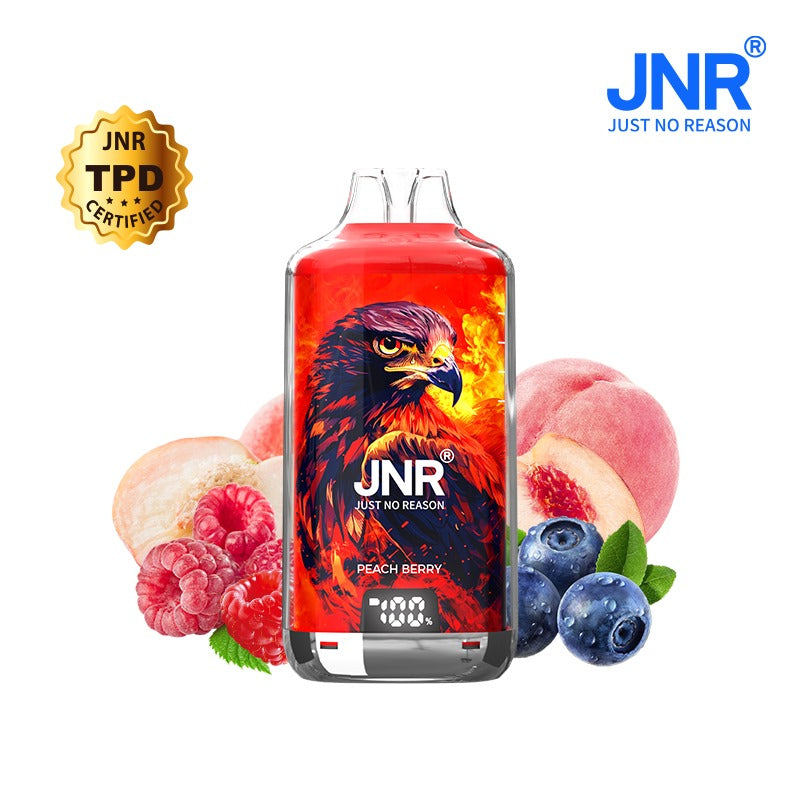 JNR FALCON X PLUS 28000 puffs bar 20mg nicotine (Box of 10) 10 Flavors