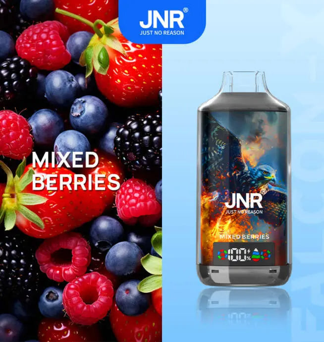 JNR Falcon X 18000 (0/2/5% Nic) | 0.6Ω Mesh Coil-Disposable Vape 18000 Puffs -950mAh Battery, 24ml E-liquid, Multiple Nicotine 11 Flavors