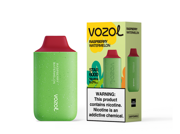Vozol Star 6,000 puffs 500mAh battery 17 Flavors