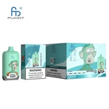 Randm Box 12000 PUFF Disposable Vape Wholesale,850 mAh 20 ML 38 Flavors