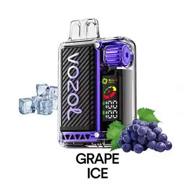 Vozol Vista 20000 Vape Kit Rechargeable-650mAh Battery, Multiple Nicotine 13 Flavors