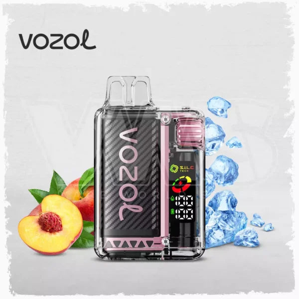 Vozol Vista 20000 puff Disposable Vape Wholesale 650 mAh 22 ML 14 Flavors