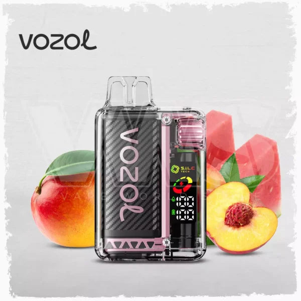 Vozol Vista 20000 puff Disposable Vape Wholesale 650 mAh 22 ML 14 Flavors