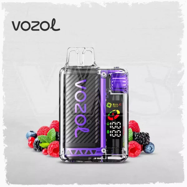 Vozol Vista 20000 puff Disposable Vape Wholesale 650 mAh 22 ML 14 Flavors
