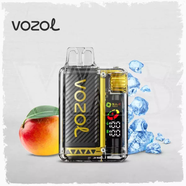 Vozol Vista 20000 puff Disposable Vape Wholesale 650 mAh 22 ML 14 Flavors