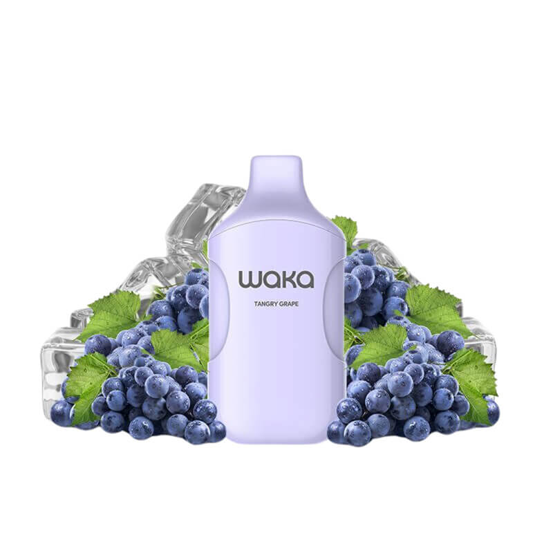 WAKA SMASH2 12000 Disposable Vape - 20ml E-Liquid, 5% Nicotine | 850mAh