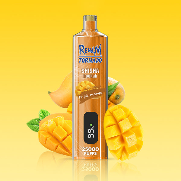 REndM Shisha 25000 Puffs Pack of 10