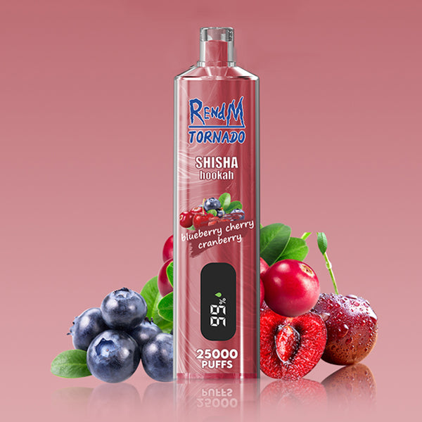 REndM Shisha 25000 Puffs Pack of 10