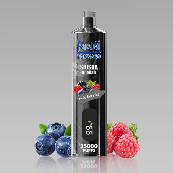 REndM Shisha 25000 Puffs Pack of 10