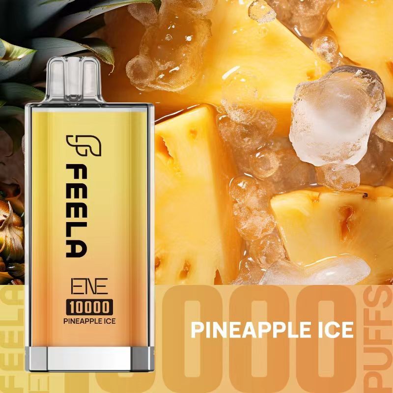 Elux Feela ENE 10000 Puffs Disposable Vape (Pack of 10)