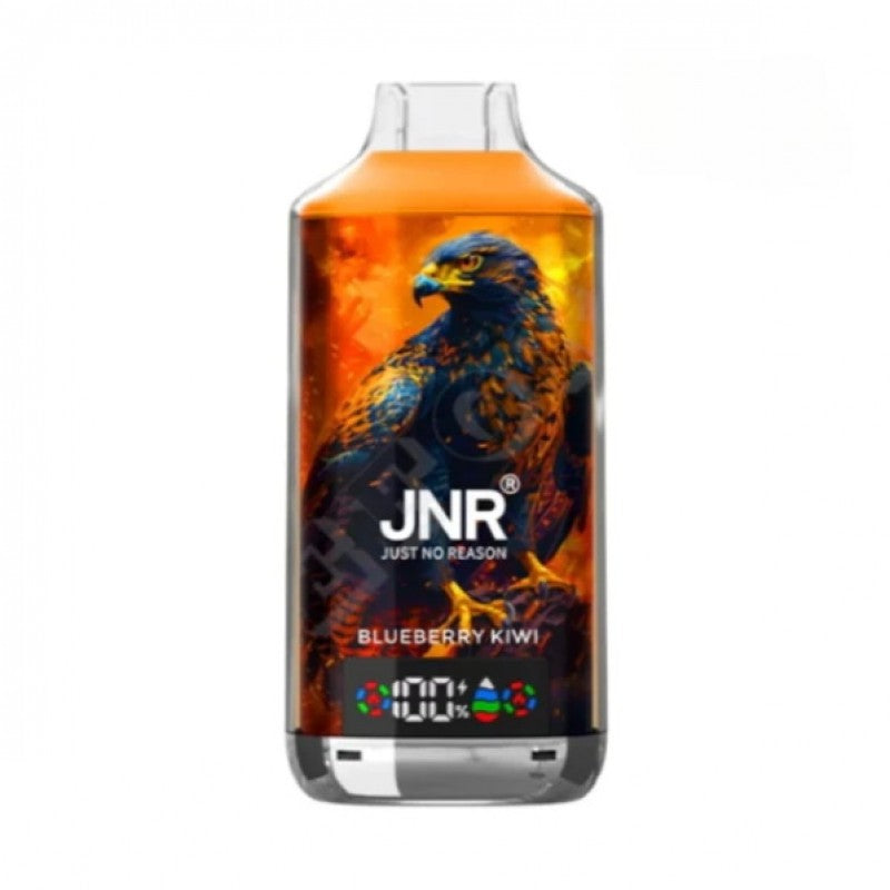 JNR 18000 Puffs Vape Pen E Cigarette 24ml 950mAh 11 Flavors 18K Disposable Vape