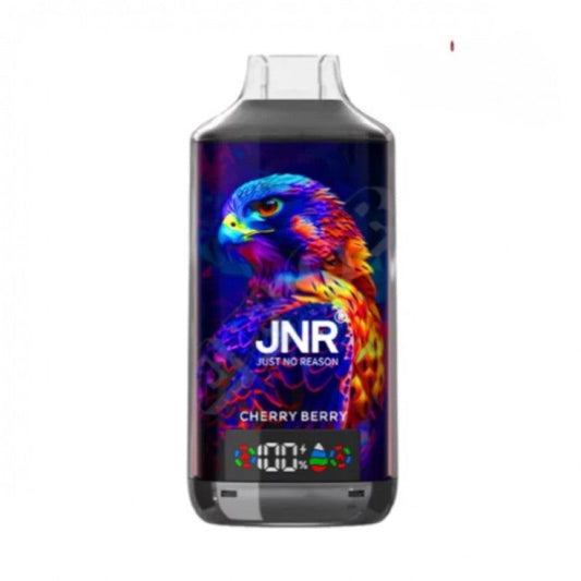 JNR Falcon X 18000 Puffs Disposable Vape(0%- 5%Nicotine)-950mAh Battery, 24ml E-liquid, Multiple Nicotine 30 Flavors