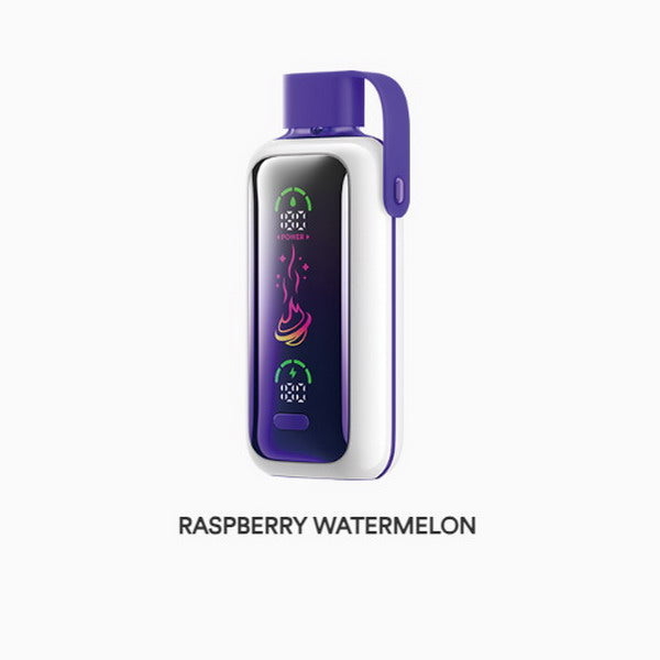 Vozol Star 20000 Vape Kit Rechargeable-650mAh Battery, Multiple Nicotine 22 Flavors