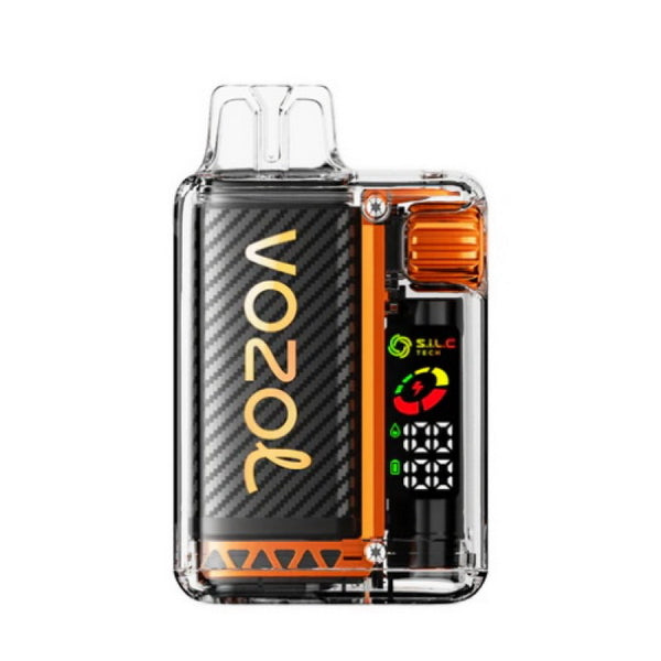 Vozol Vista 20000 Vape Kit Rechargeable-650mAh Battery, Multiple Nicotine 13 Flavors