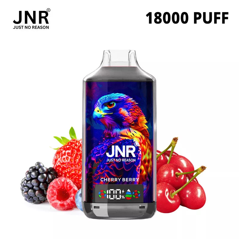 JNR 18000 18k Puffs Falcon X Vape Wholesale Price France Belgium Netherlands