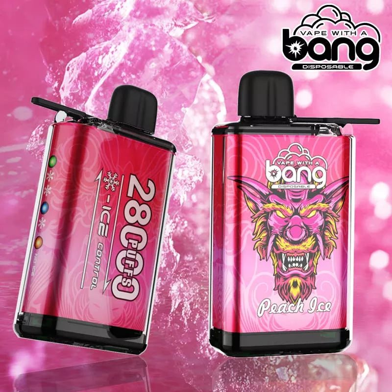 Ice Control Vape New Bang 28000 Puffs Disposable 3 Modes