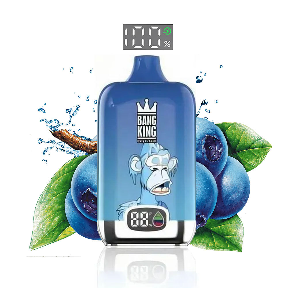 BANG KING Vape Original  15000 Puffs Digital Price Free Shipping Sweden Romania Italy Germany-650mAh Battery, 25ml E-liquid, Multiple Nicotine 10 Flavors