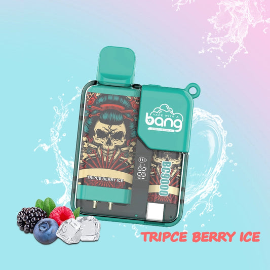 BANG Pyne 9000 Puffs Disposable Vape Wholesale-6ml E-liquid, Multiple Nicotine 12 Flavors