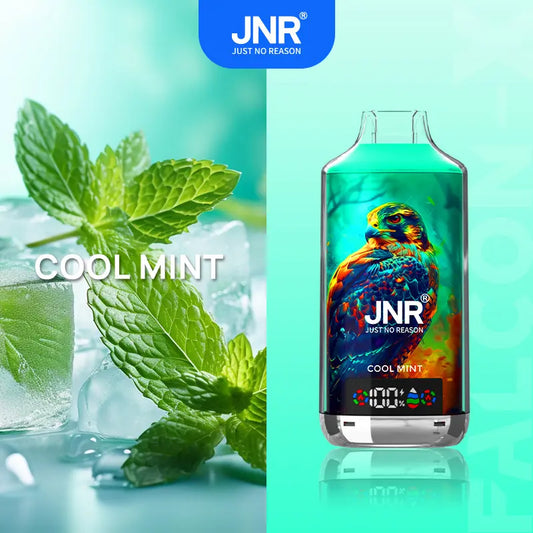 JNR 18000 Puffs Vape 18K Disposable Vape Pen E Cigarette  24ml 950mAh  11 Flavors